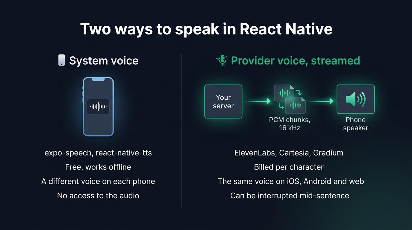 The system voice runs on the phone and differs per device, while a provider voice is streamed from your server as PCM and is the same everywhere